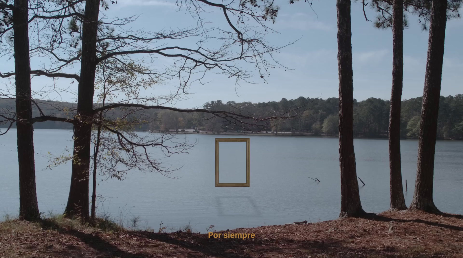 a picture frame sitting in the middle of a lake