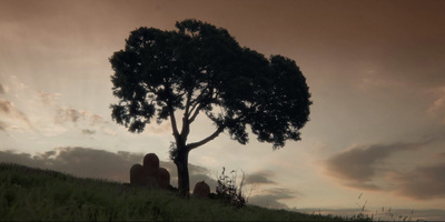 a tree sitting on top of a lush green hillside