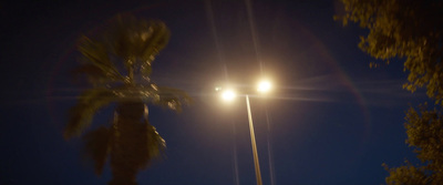 a street light with a palm tree in the foreground