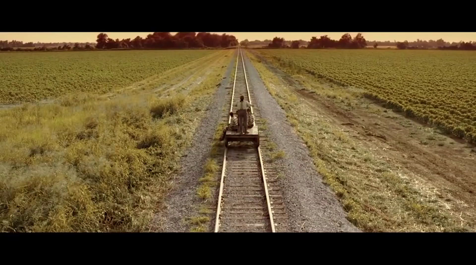 an aerial view of a train traveling through a field