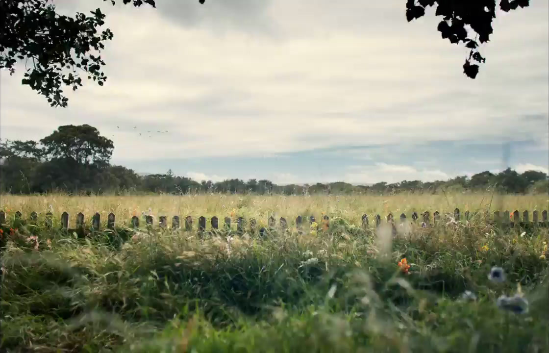 a field of grass with a fence in the background