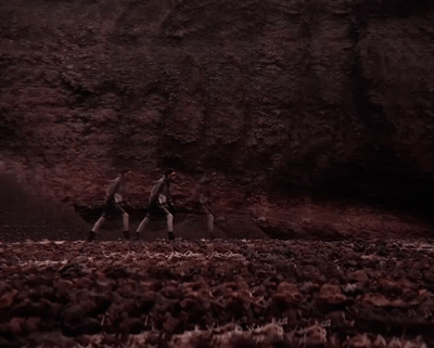 a couple of people riding horses across a field