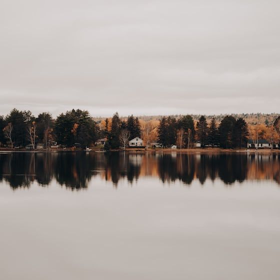 a body of water with trees in the background