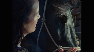 a close up of a person petting a horse