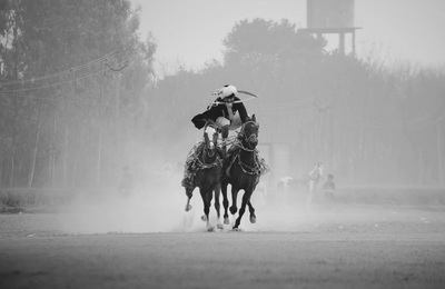 a couple of horses that are standing in the dirt