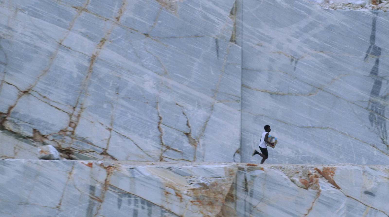 a bird is standing on a rock ledge