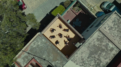 an aerial view of a building with a lot of animals on it