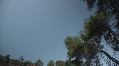 a view of the sky through the branches of a tree