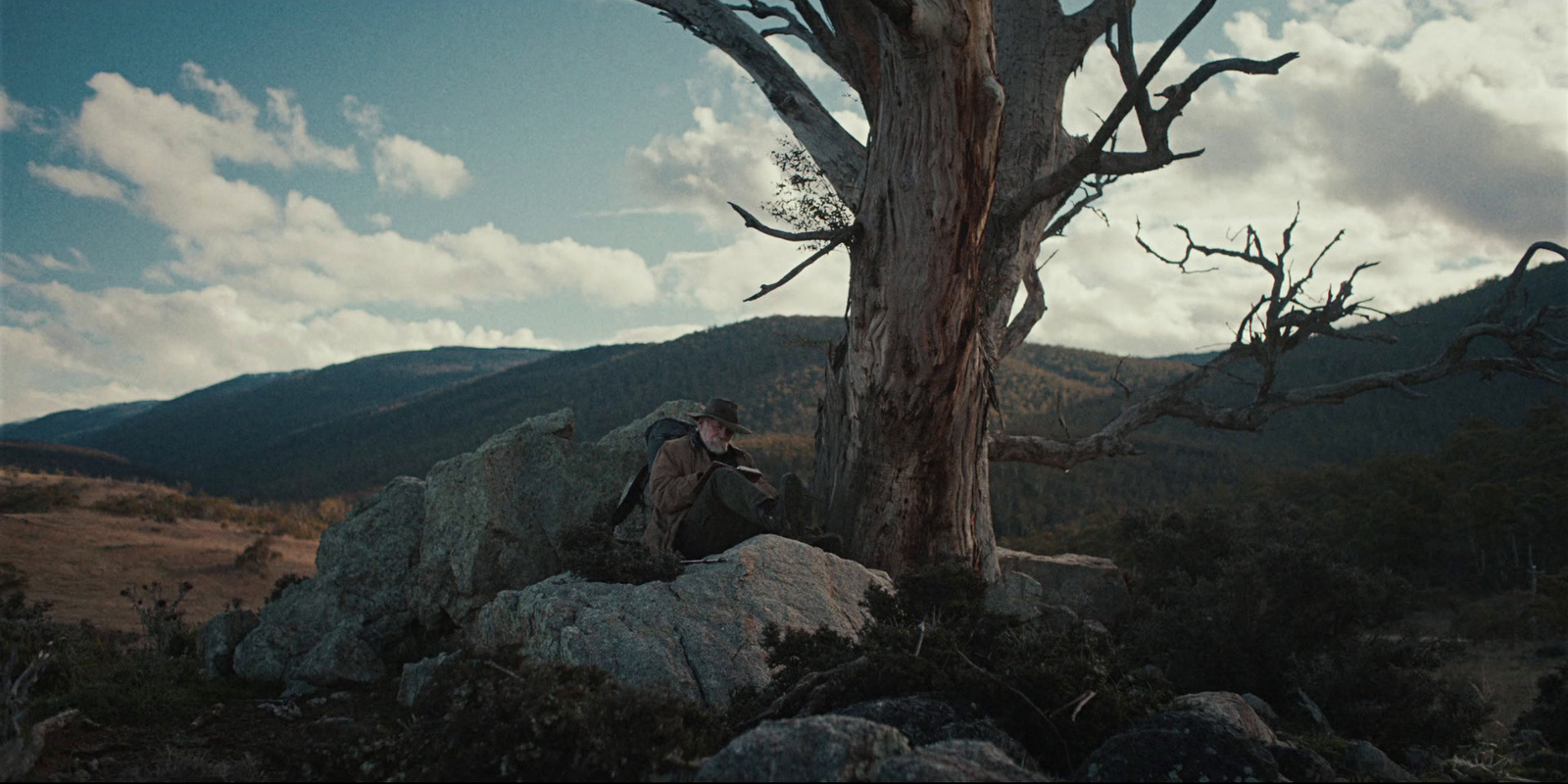 a man sitting on top of a rock next to a tree