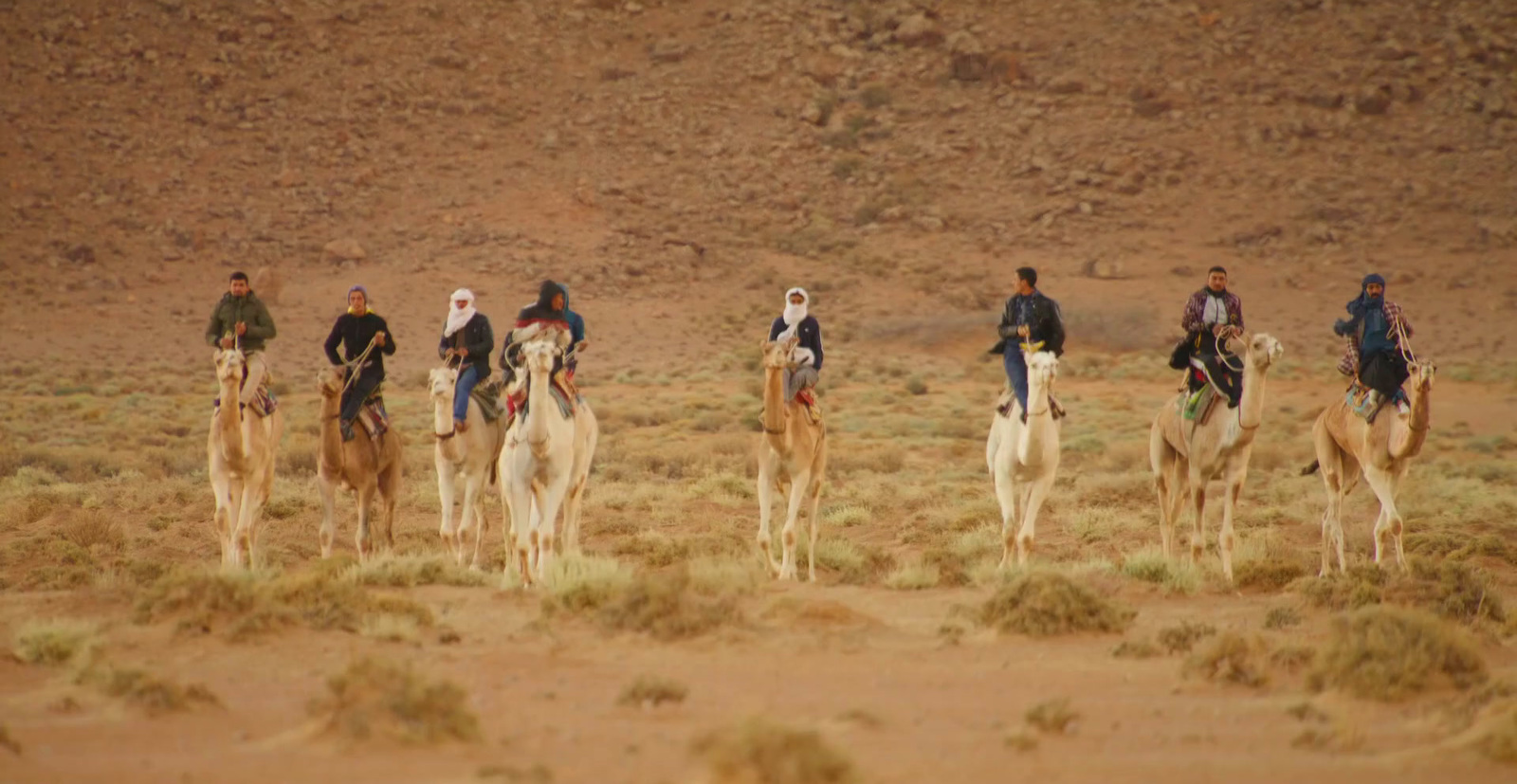 a group of people riding on the backs of camels