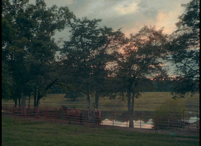 a horse is standing in a fenced in area