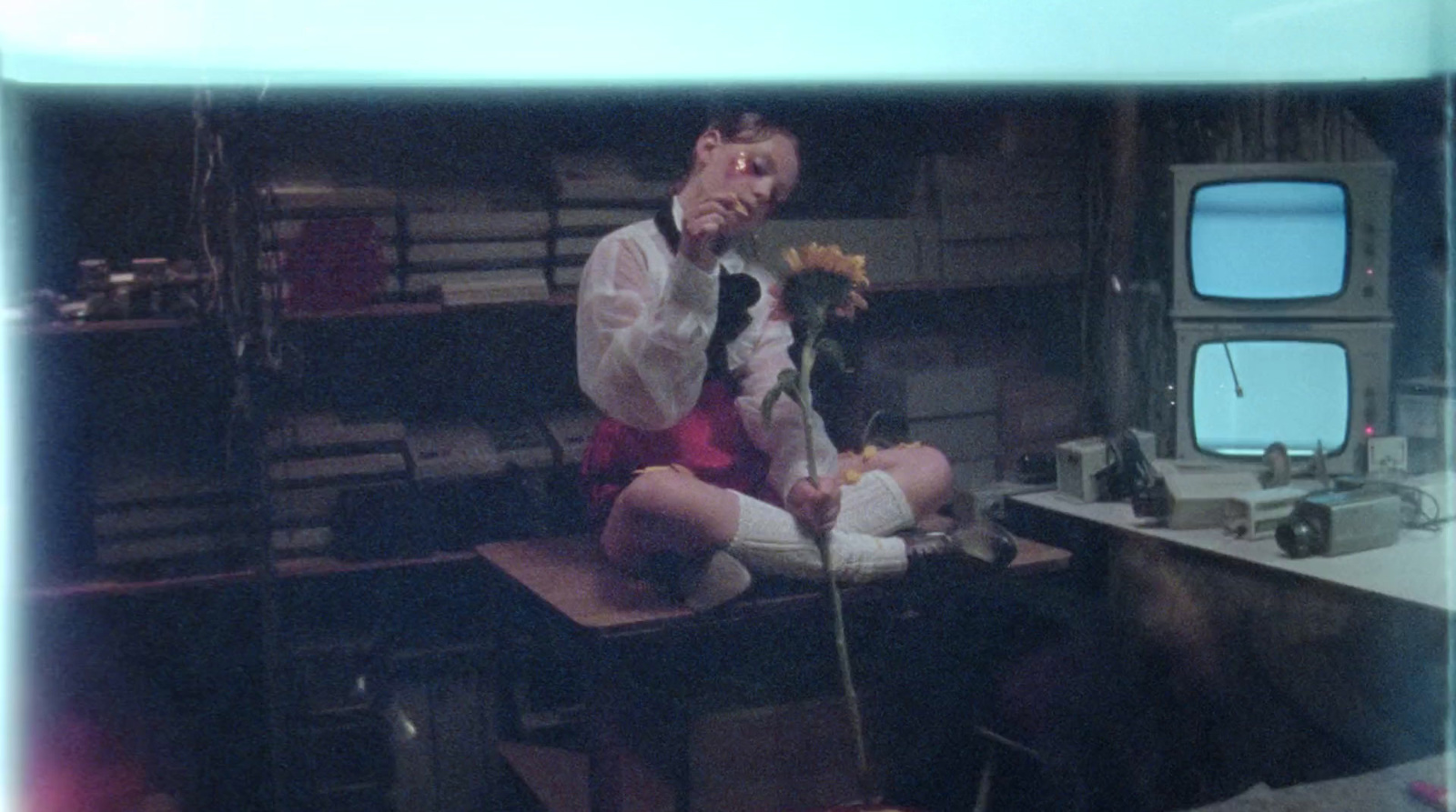 a man sitting on a desk with a flower in his hand