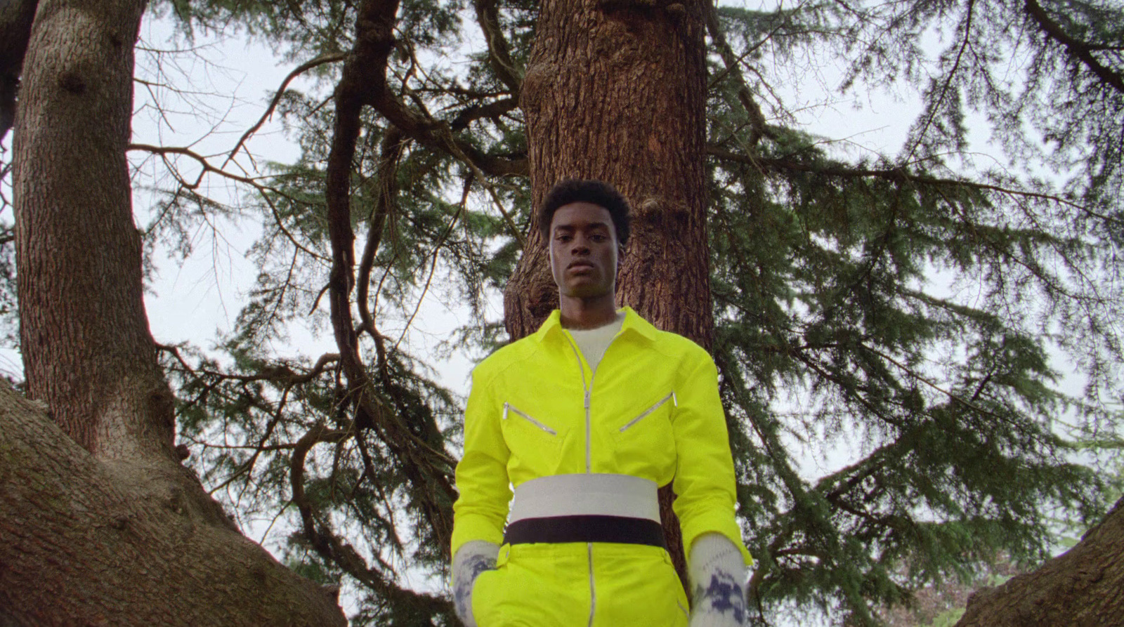 a man in a yellow jacket standing in front of a tree