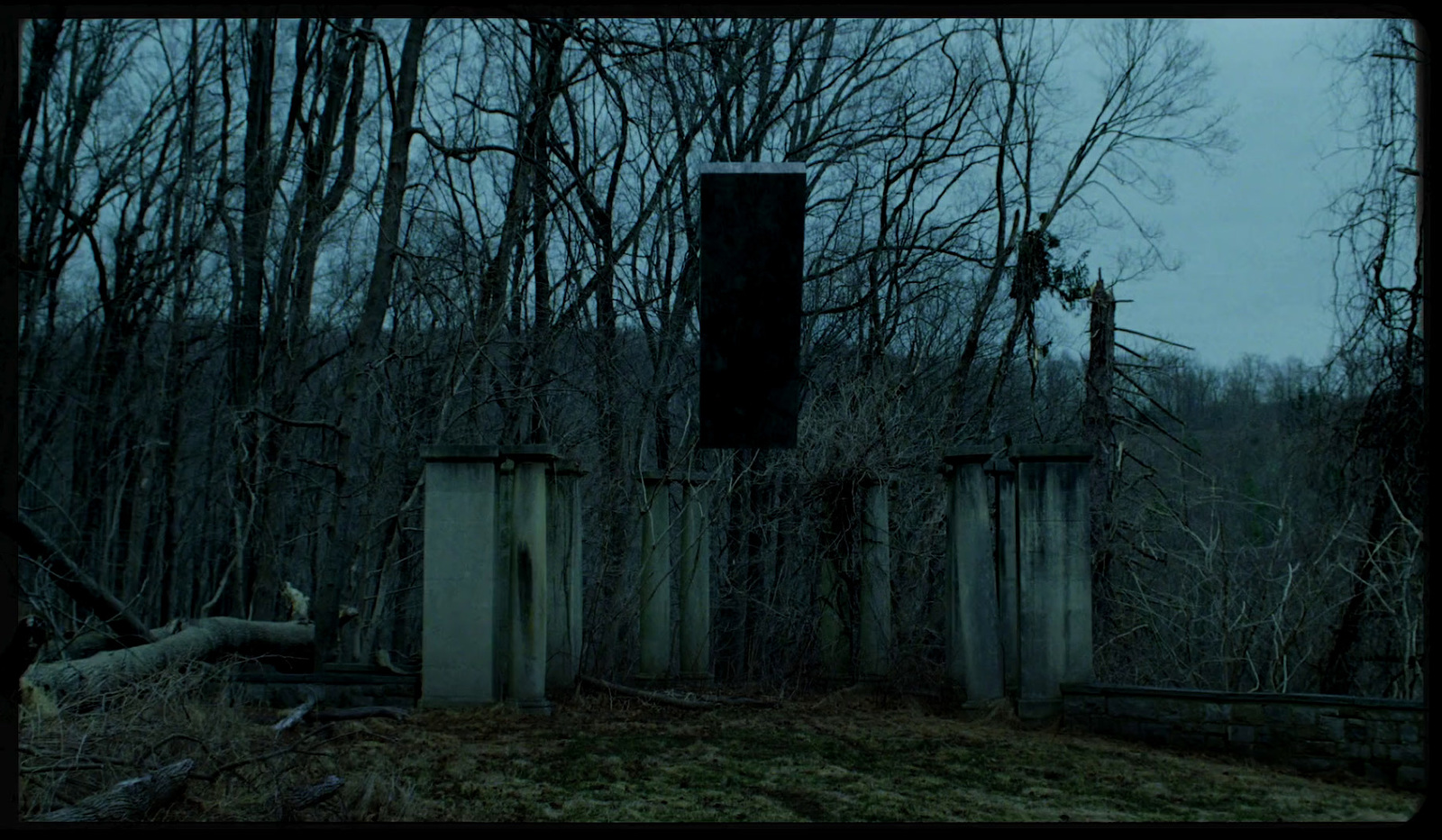 a creepy looking gate in the middle of a forest