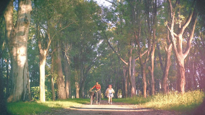 a couple of people riding bikes down a dirt road