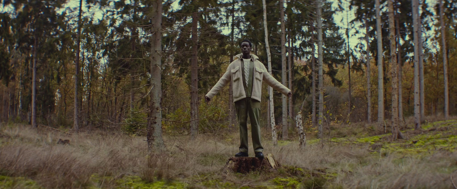 a statue of a man standing in the middle of a forest