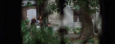 a group of people standing in front of a tree