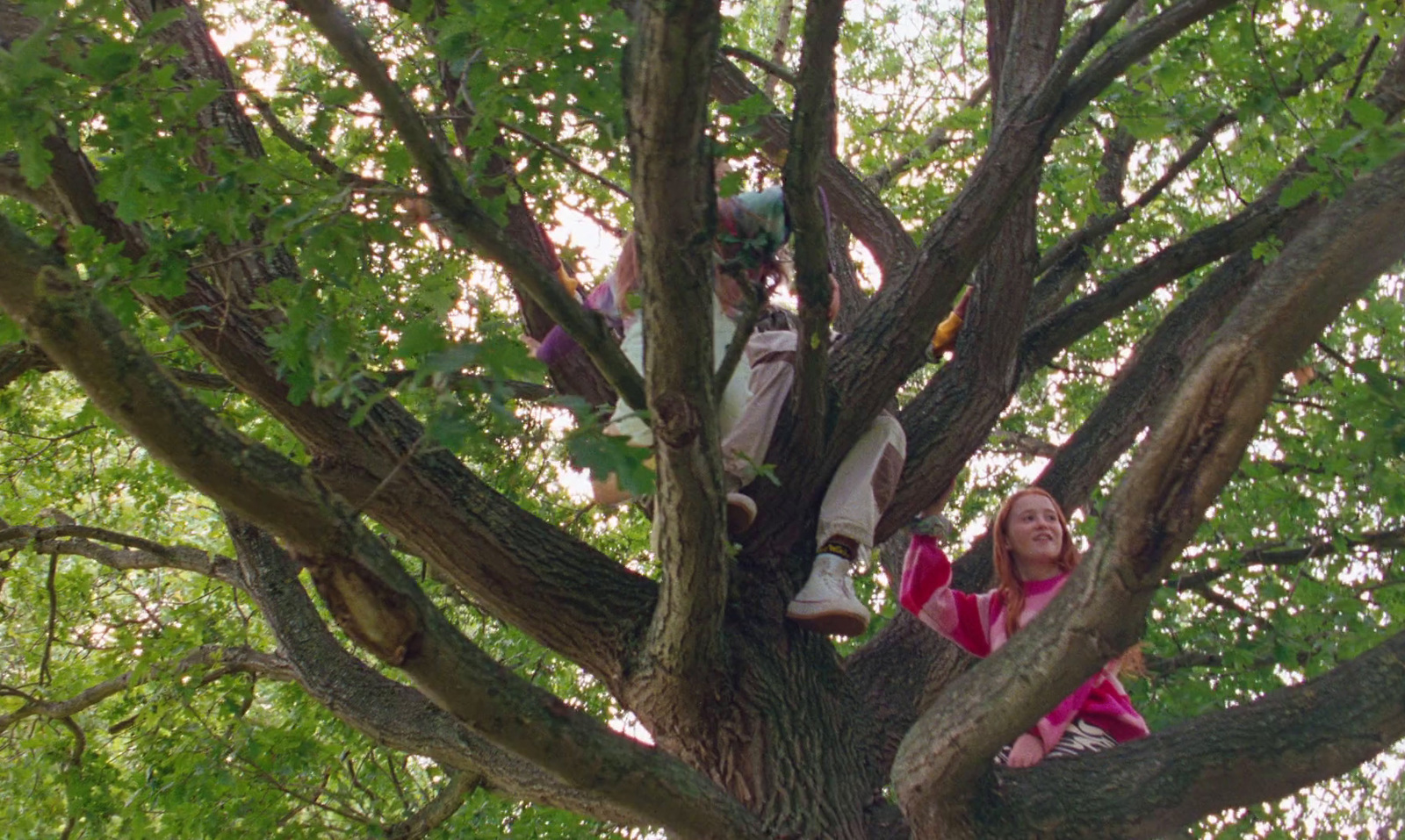 a woman sitting on top of a tree next to another woman