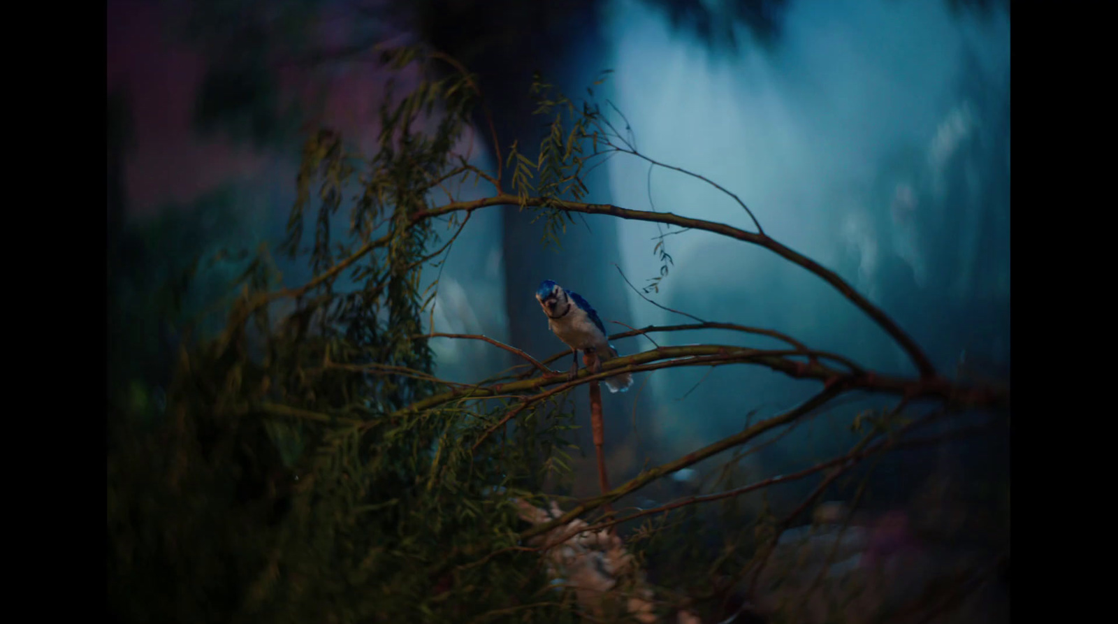 a small bird perched on a tree branch