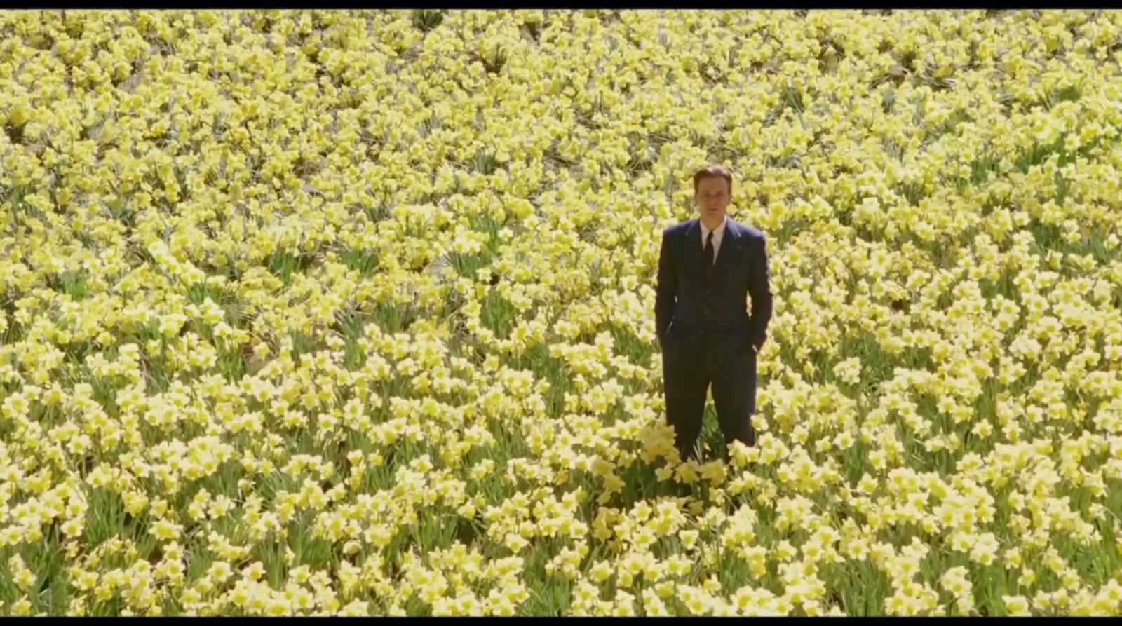 a man in a suit standing in a field of flowers