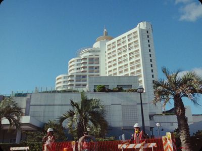 a tall white building sitting next to a palm tree