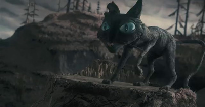 a cat with big eyes standing on a rock