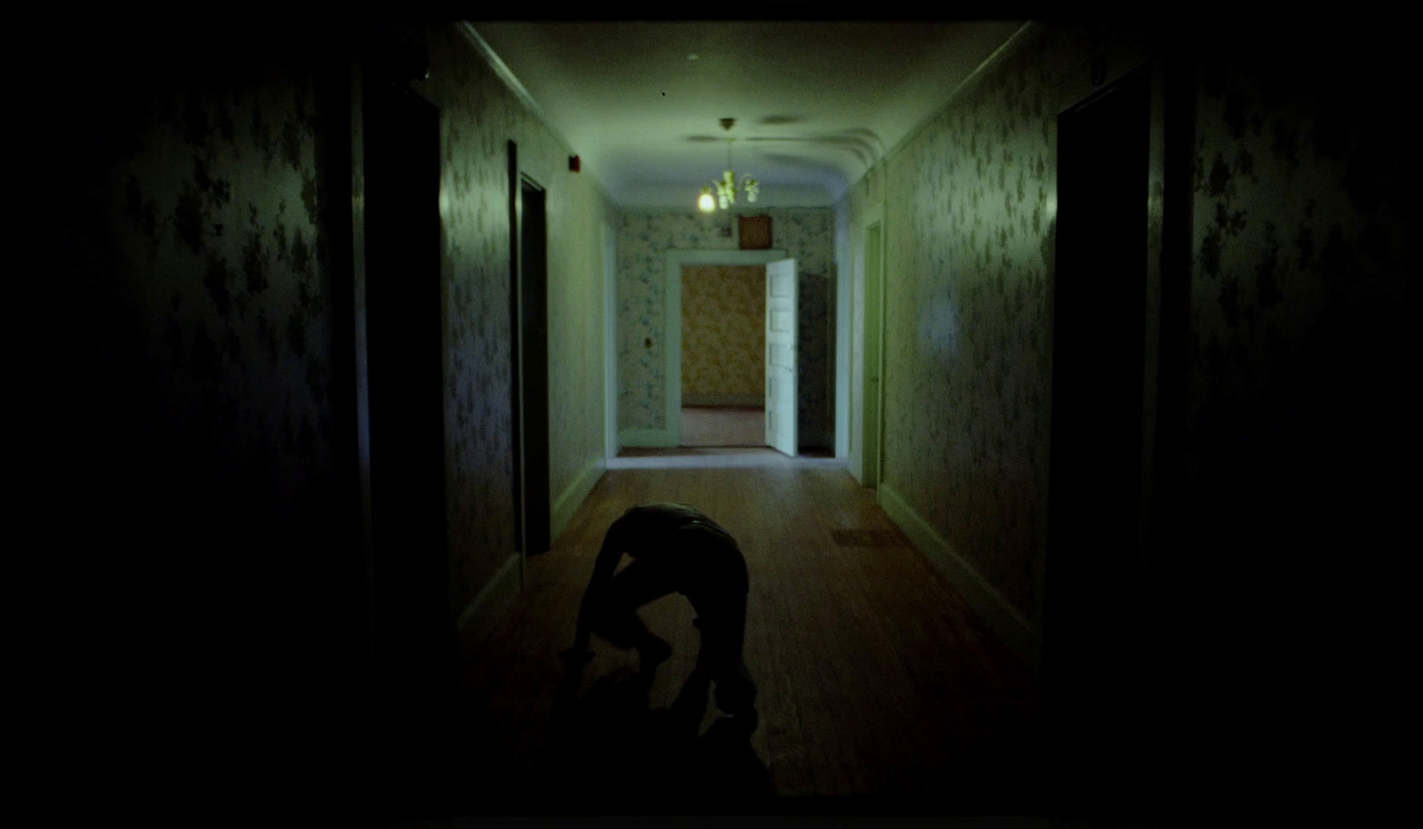 a dark hallway with a dog on the floor