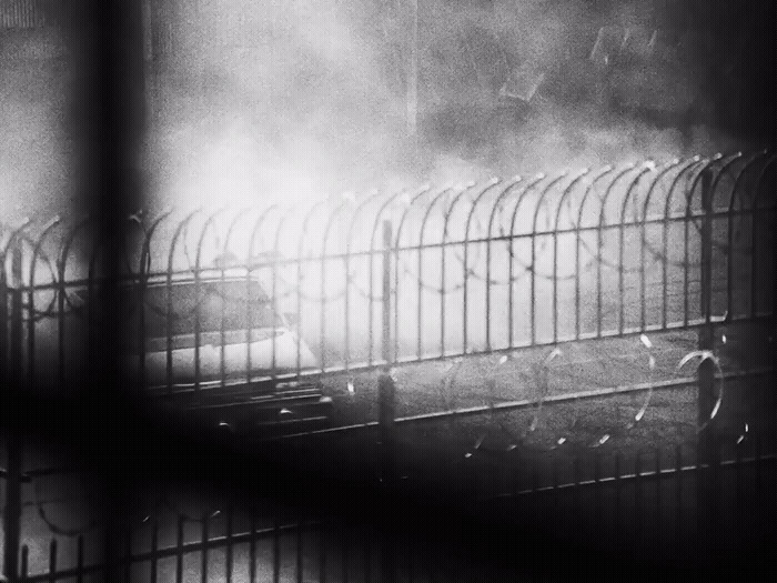 a black and white photo of a dog in a cage