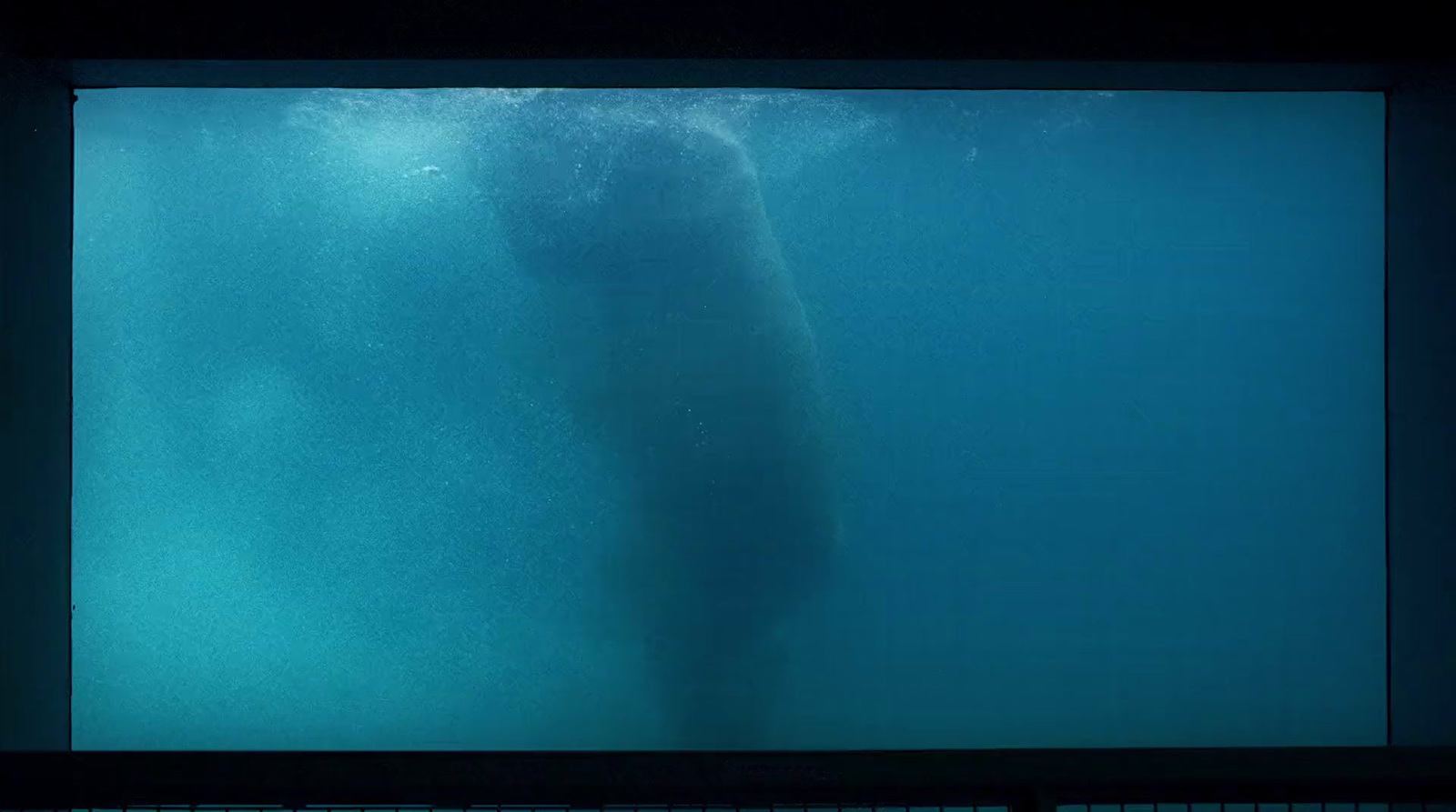 a large whale is swimming in the water