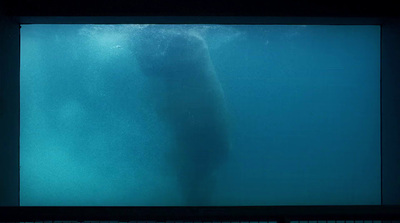 a large whale is swimming in the water