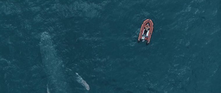 a small boat in the middle of a body of water