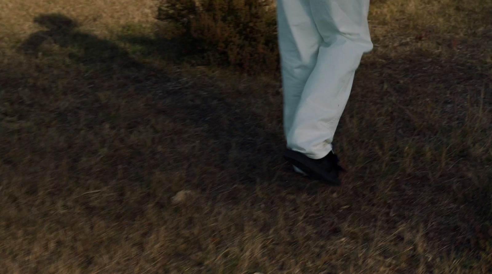 a person standing in a field with a frisbee