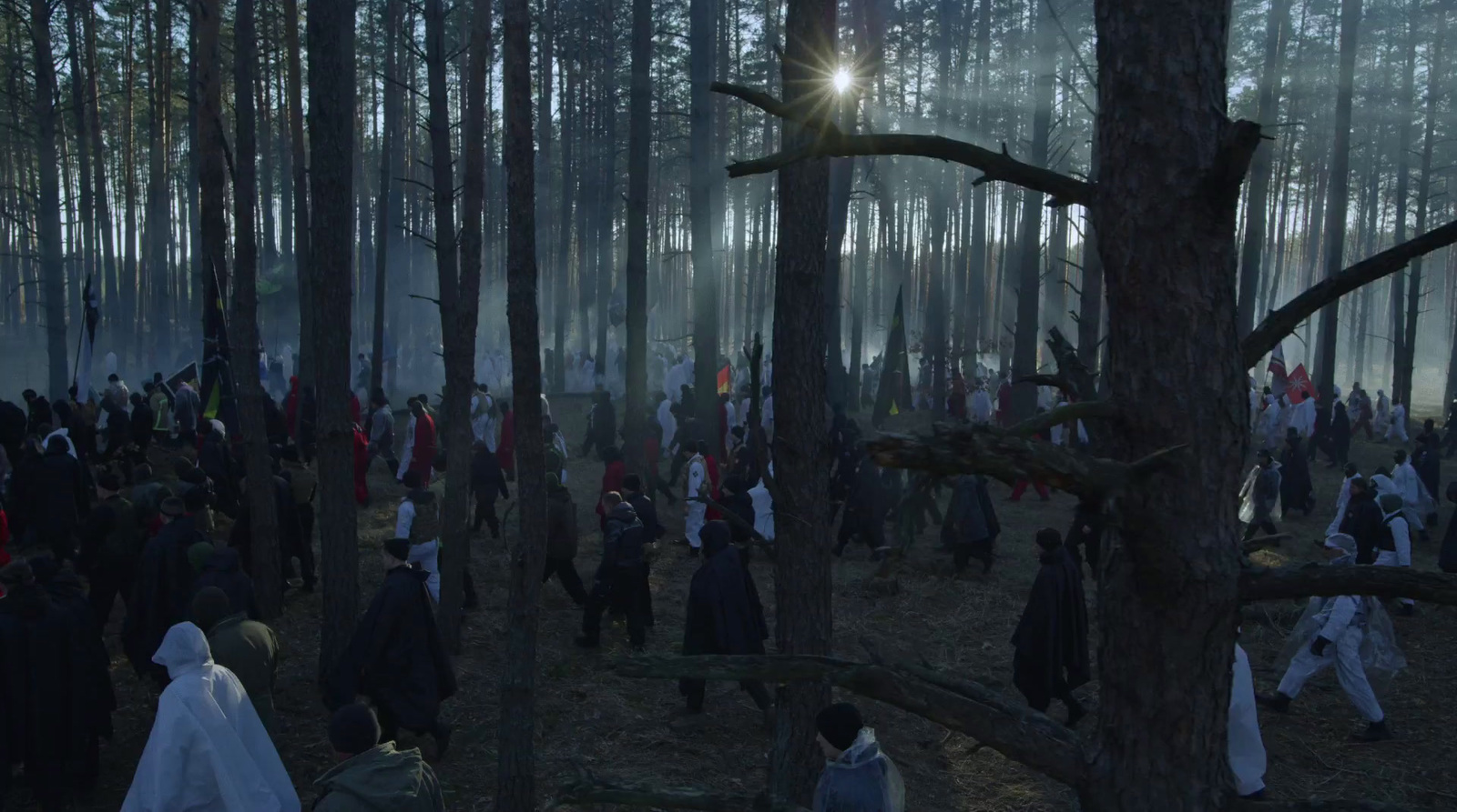 a group of people standing in the woods