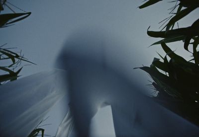 a blurry image of a person standing in a field