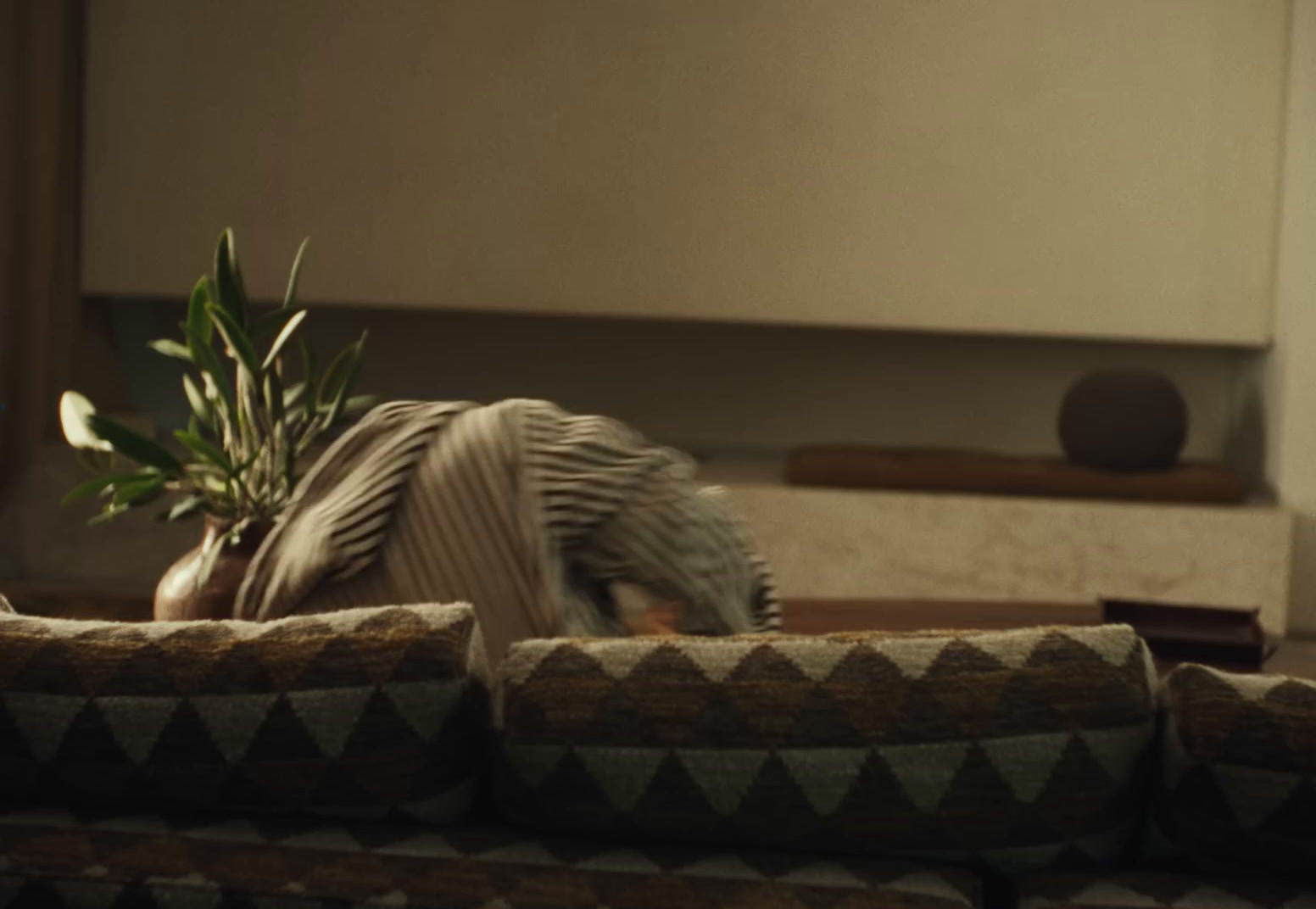 a plant sitting on top of a couch in a living room