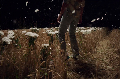 a person standing in a field of tall grass