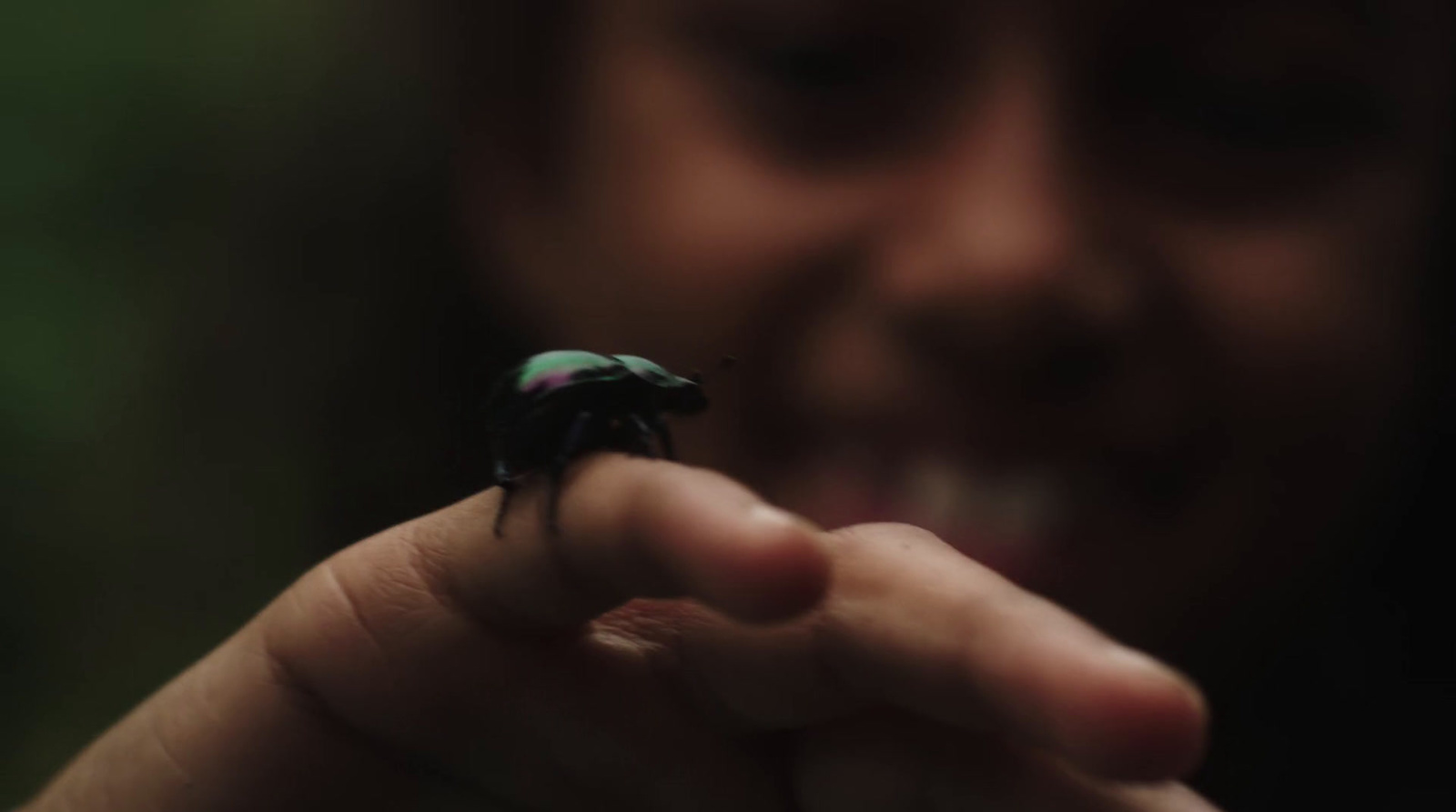 a close up of a person holding a small insect