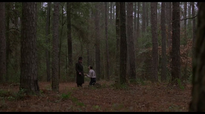 a man and a child walking through a forest