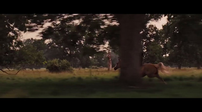 a giraffe standing next to a tree in a field