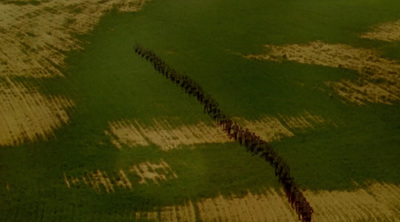 an aerial view of a field with a long line of cows