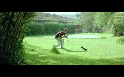 a man playing with a cat in a yard