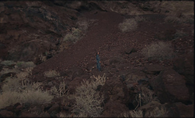 a lone blue bird standing in a rocky area