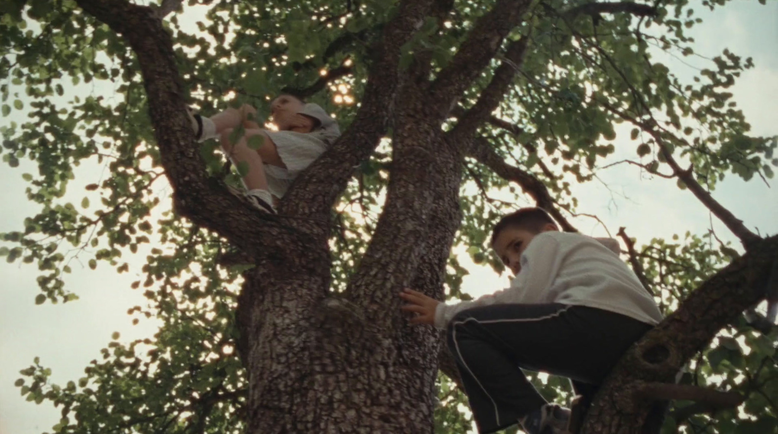 a man climbing up a tree with a baby in his arms