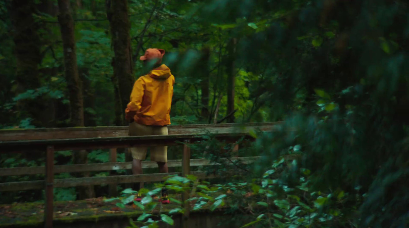 a man standing on a bridge in the woods