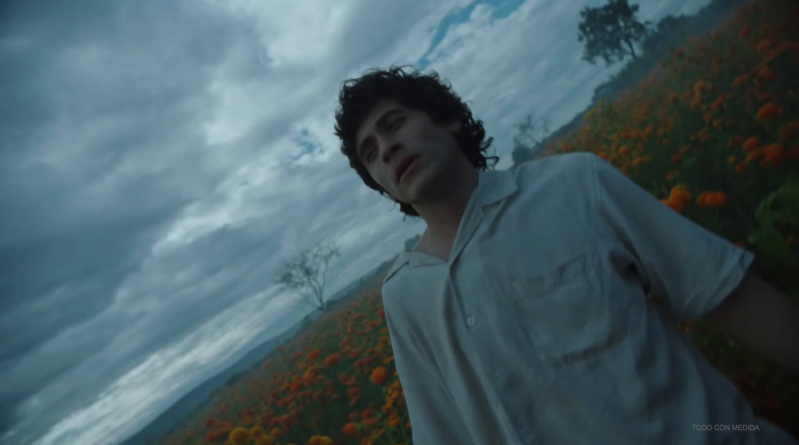 a man standing in a field of flowers under a cloudy sky