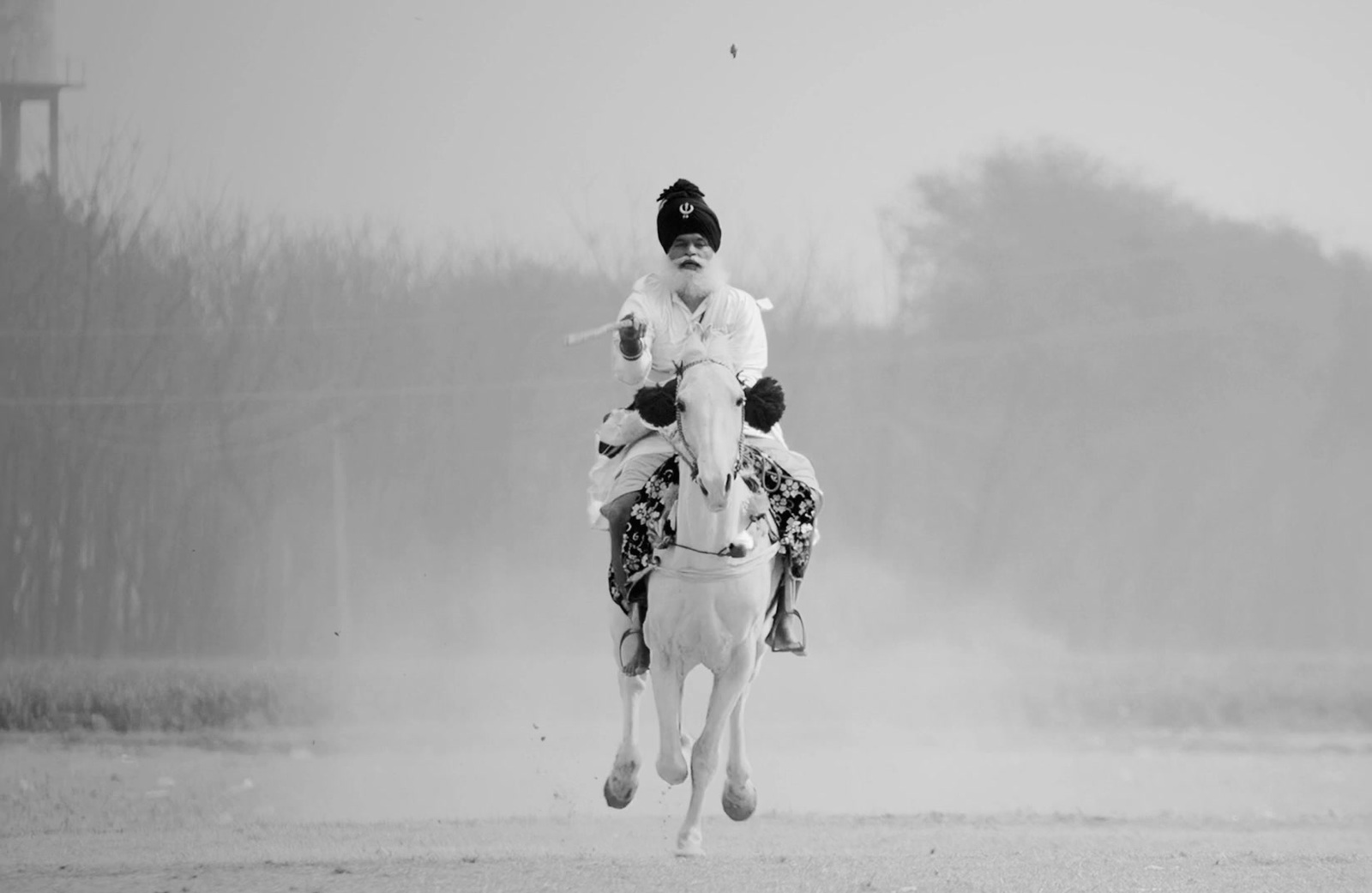 a person riding a horse in the middle of a field