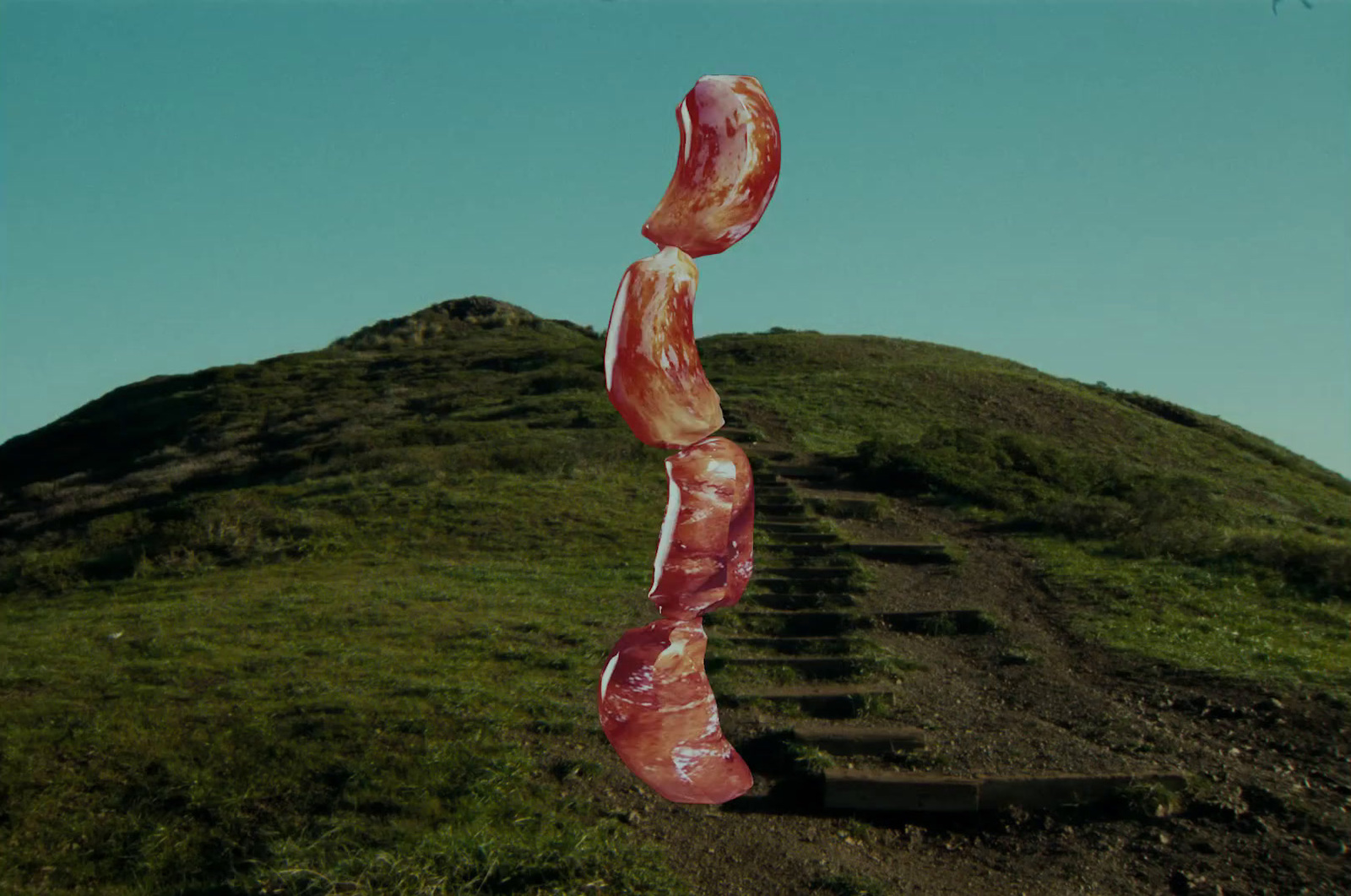 a large piece of bacon hanging from the side of a hill