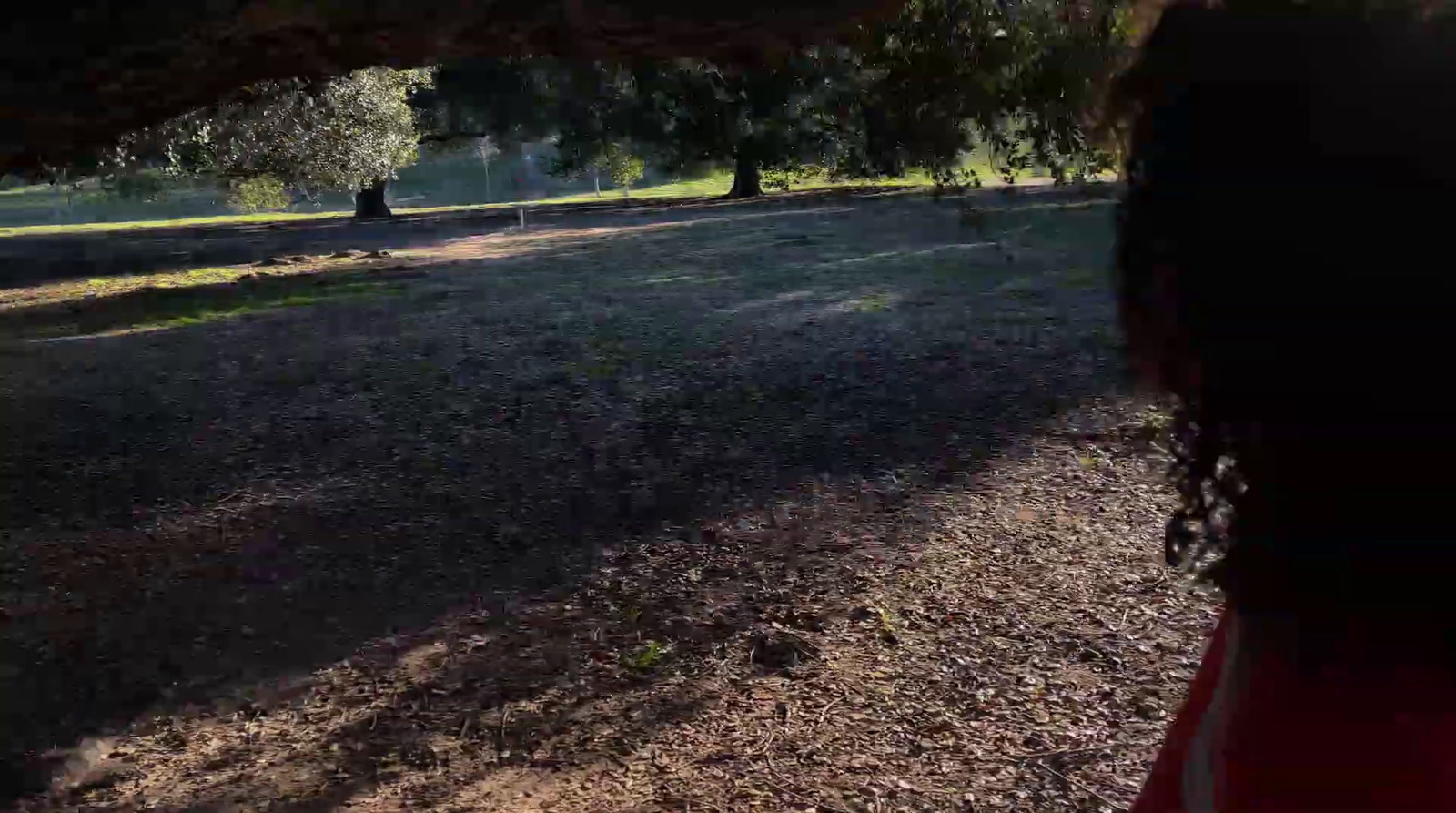 a woman standing under a tree in a park