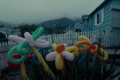 a bunch of balloons that are in the grass