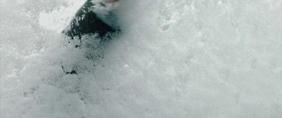 a person riding skis down a snow covered slope